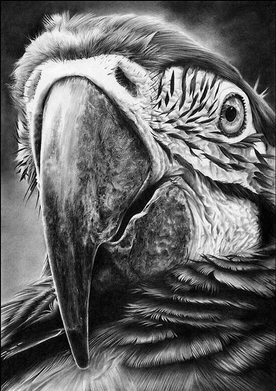 Dibujo artístico
